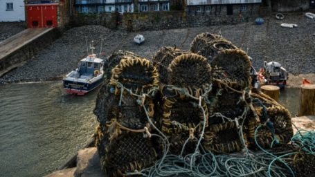 Clovelly Pots - Clovelly Stacked lobster pots near a harbour, with boats and a shoreline in the background.