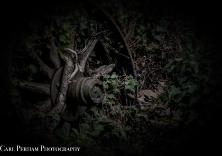 A rusty wheel partially covered by green foliage in a dark environment.