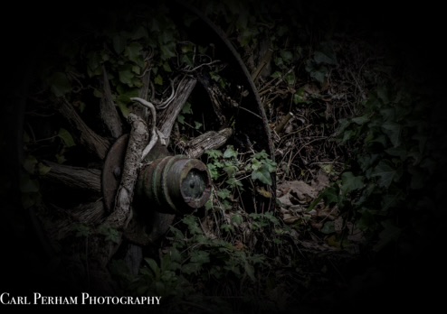 Bucks Mills A rusty wheel partially covered by green foliage in a dark environment.